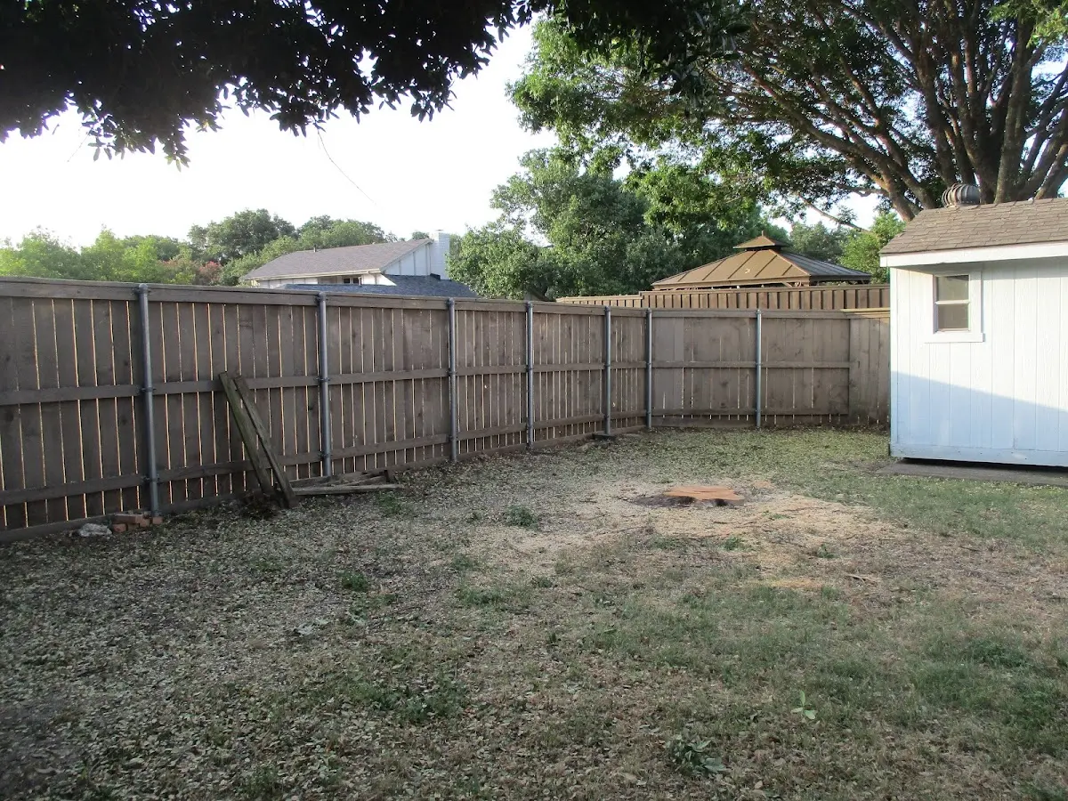 Cleared yard after professional tree removal in Rolling Prairie