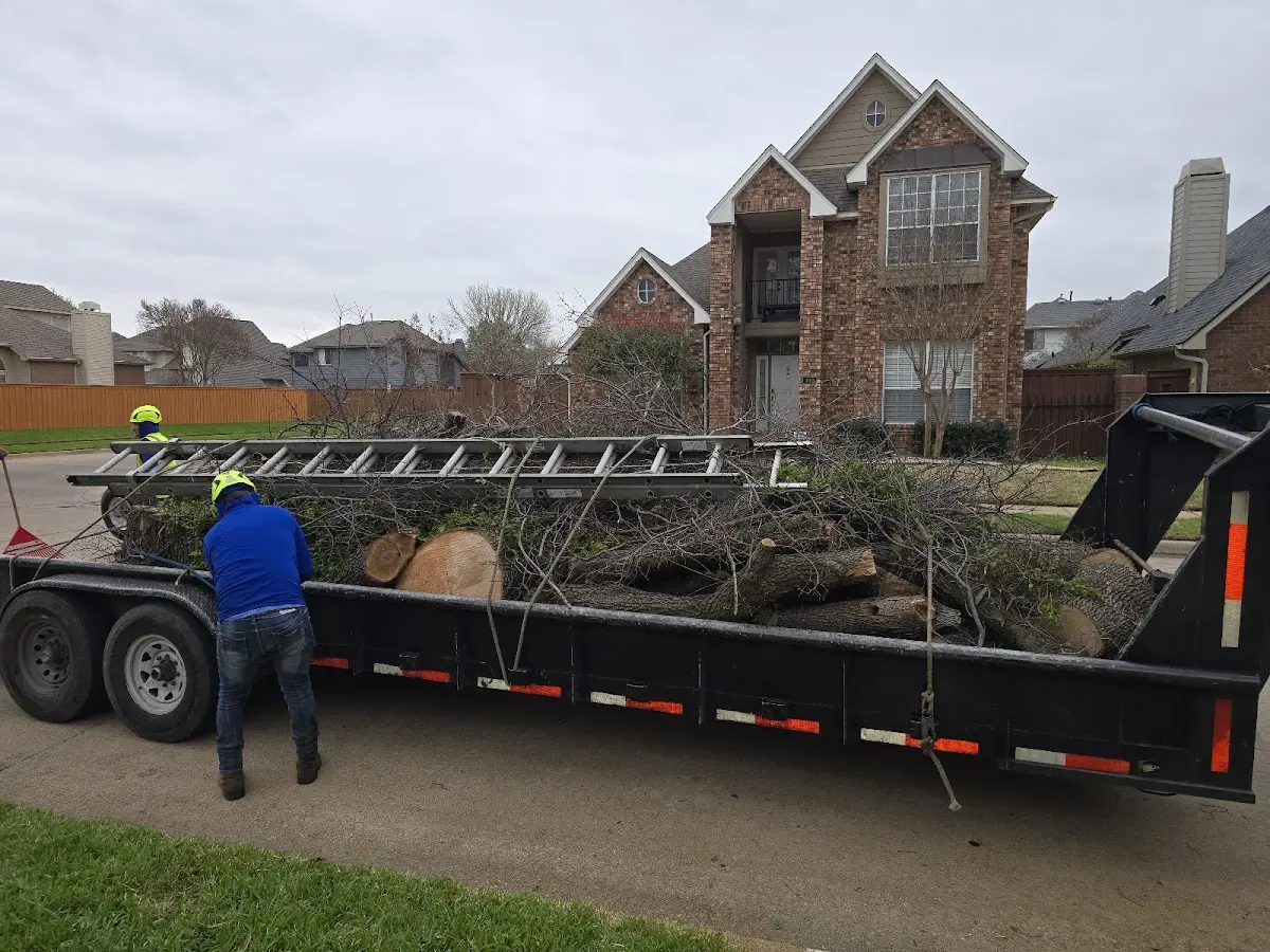 Expert Crown Reduction with proper safety equipment in Rolling Prairie
